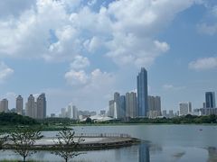 -月湖风景区