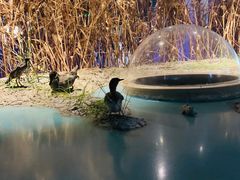 -上海长江河口科技馆