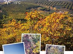 -帽儿山国家森林公园