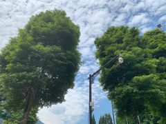 -虹口漂流