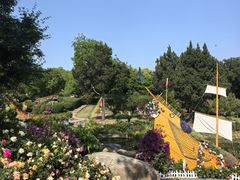 -无锡梅园公园