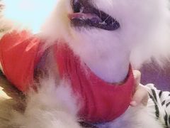 -M-3 PUB(创智天地店)