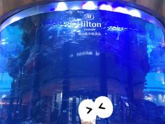 -OPEN開全日自助餐厅·牛肉火锅·海鲜(佛山希尔顿酒店)