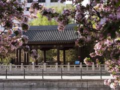 -元大都城垣遗址公园