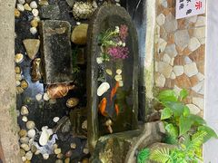 -梧州双钱龟苓膏(老街店)
