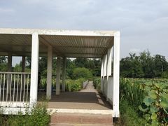 -三圣花乡旅游区