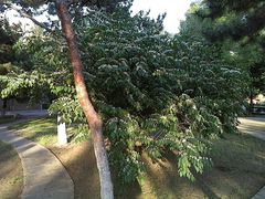 -辽宁大学(崇山校区)