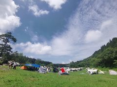 -武陵山森林公园