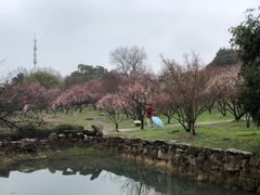-无锡梅园公园