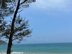 -西涌国际滨海旅游区