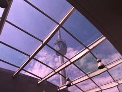 -陕西自然博物馆