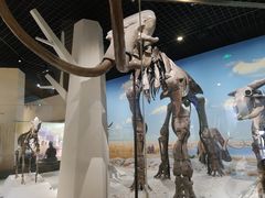 -国家自然博物馆