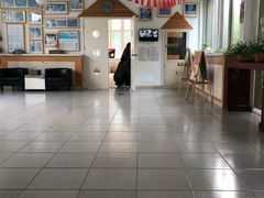 -启明东润幼儿园(东润园)