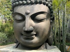 -杭州植物园
