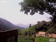 -王顺山国家森林公园