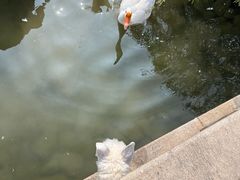 -祝家花園(伯渎港店)