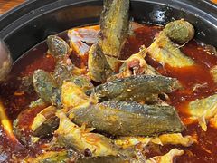 -金海椒罐罐鲢鱼(东方桂苑店)