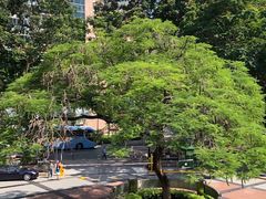 -香港科学馆