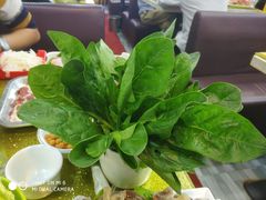 菠菜-赵氏盱眙十三香龙虾(蓝村店)