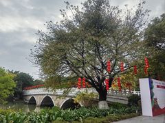 -海珠湖公园