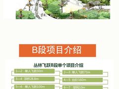 -西双版纳原始森林公园