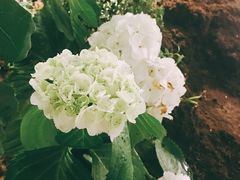 -凡人&庄阿姨的辣(万寿亭店)