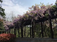 -敬亭山风景名胜区