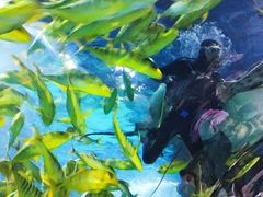 -福州罗源湾海洋世界旅游区