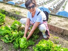 -前小桔亲子创意农场·草莓采摘·露营烧烤