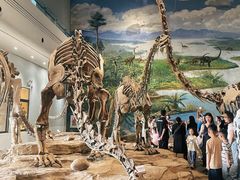 -自贡恐龙博物馆