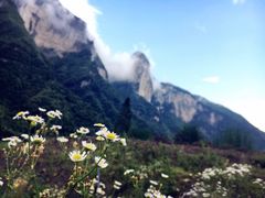 -鹿院坪生态旅游景区