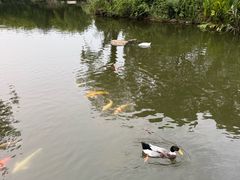 -新江湾城公园