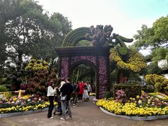 -汇龙潭