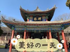 -西安碑林博物馆