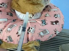 -宠瑞康动物医院