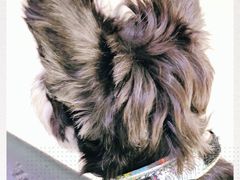 -宠颐生中康贝怡动物医院