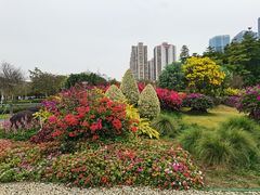 -文华公园(禅城区)