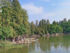 -东湖落雁景区
