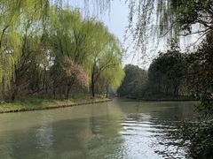 -同里国家湿地公园