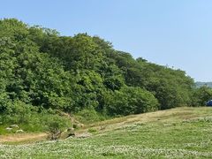 -羊山湖公园