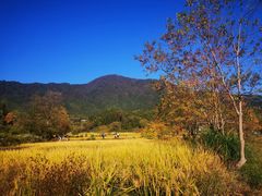 -塔川景区