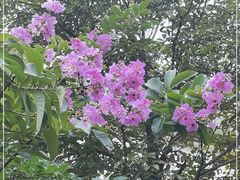 -云溪植物园