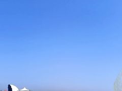 -碧海金沙