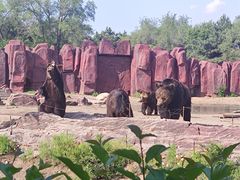 -沈阳森林动物园