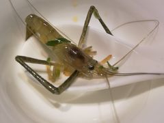 -柳园春天特色餐厅(南浔古镇店)