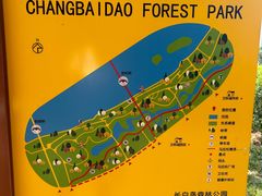 -长白岛森林公园