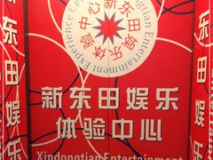 -新东田娱乐体验中心