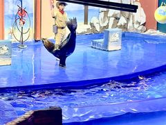 -重庆欢乐海底世界