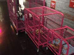 -唯尚主题式KTV(红谷滩店)