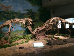 -自贡恐龙博物馆